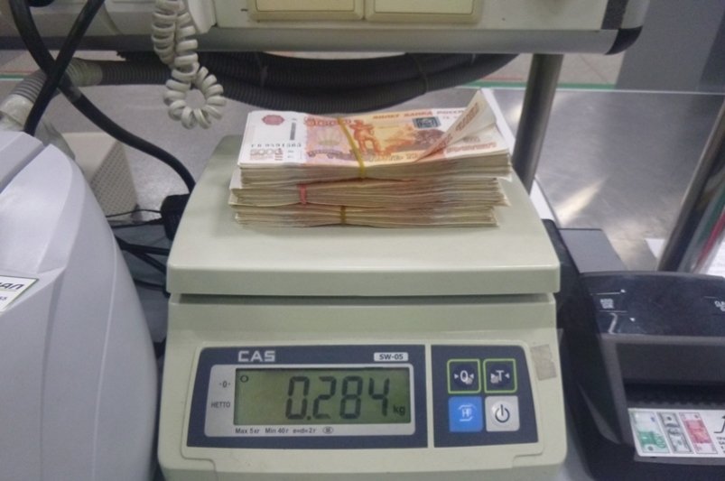 Служебная собака Маня обнаружила крупную сумму денег в багаже в аэропорту Иркутска