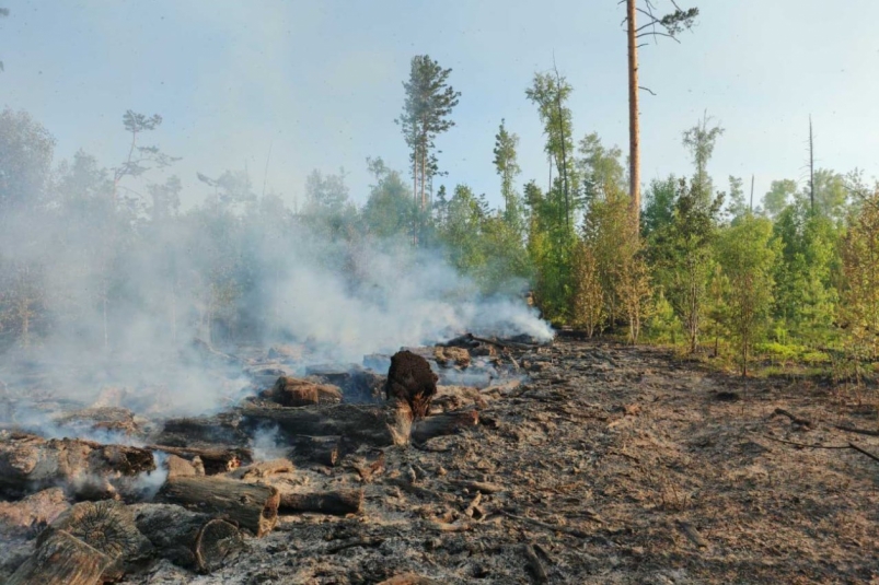 Два лесных пожара из-за грозы зарегистрировали в Иркутской области