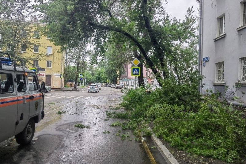 Упавшую ветку убрали с дороги на улице 5-й Армии в Иркутске