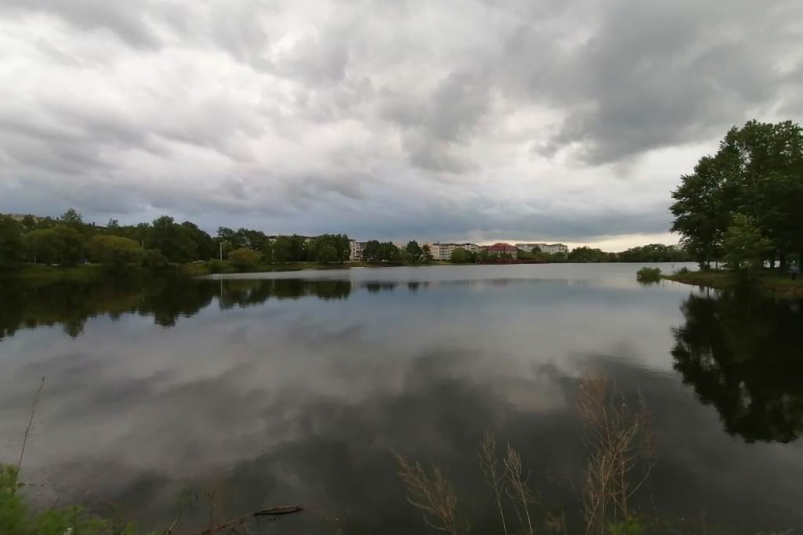 В Черемховском районе зафиксировали изменение цвета воды в реках. Погибла рыба