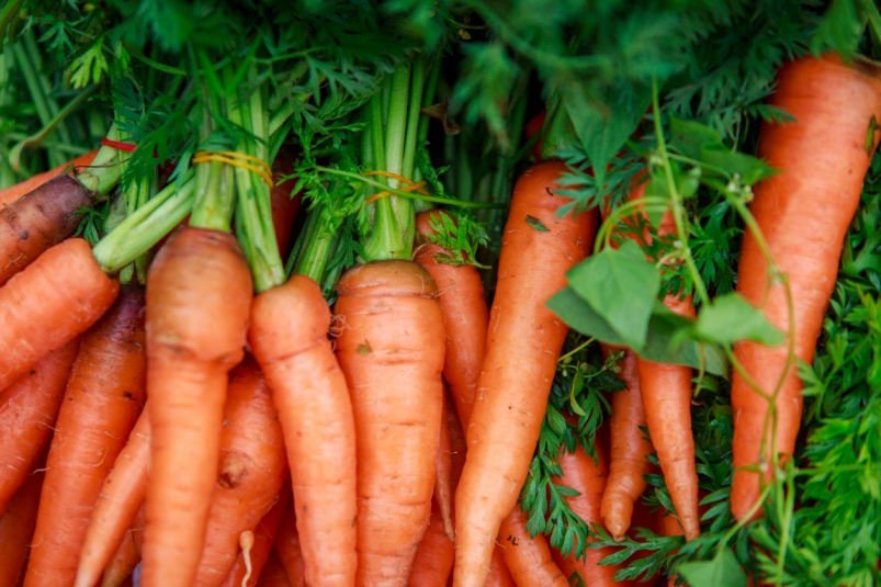 Все красавцы удалые, великаны молодые: в августе полейте морковь этим простым раствором