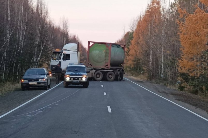 Водитель иномарки врезался в мертвого медведя и перевернулся в Усть-Илимском районе