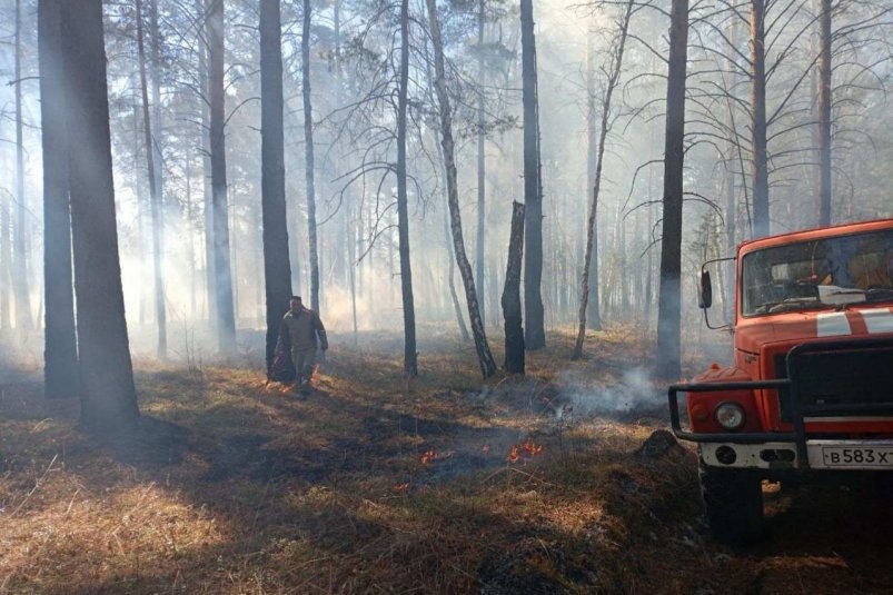 В Приангарье за сутки ликвидировано девять лесных пожаров на площади 31,5 га