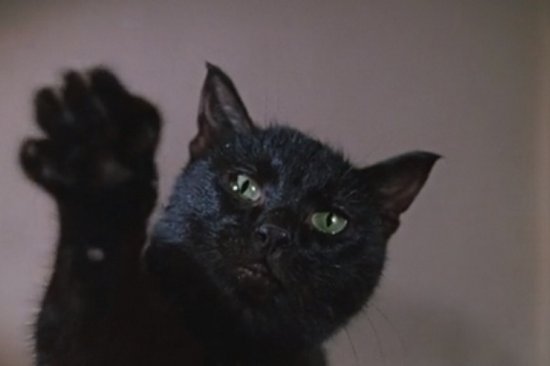 Гайдай пожал бы вам руку: вы настоящий знаток фильмов СССР,  если наберете 5/7