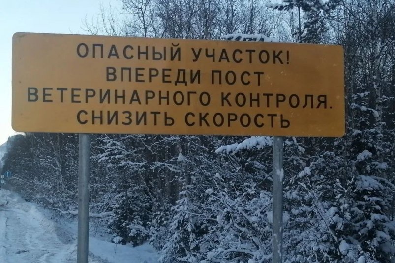 За один день 5 тонн нелегального мяса пытались провести в Иркутскую область