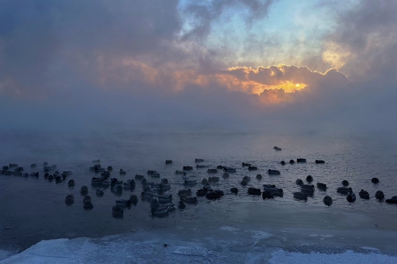 Обзор самых популярных новостей за декабря