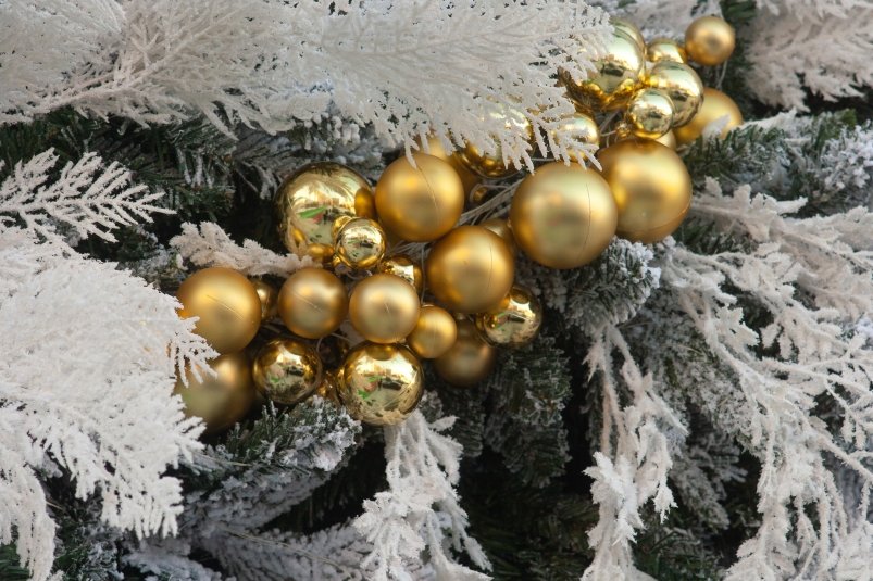 ВТБ и OneTwoTrip выяснили, куда россияне поедут отдыхать на Новый год 