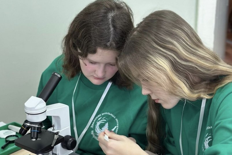 Стали известны победители регионального этапа юниорского лесного конкурса в Приангарье