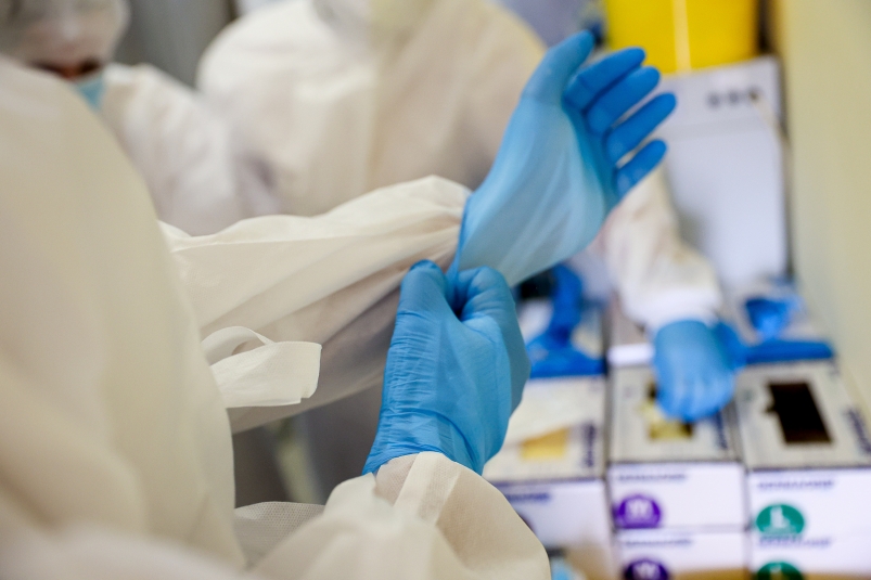 Смертность до 75%: в Индии отмечен всплеск вируса Нипах — кто в зоне риска в РФ