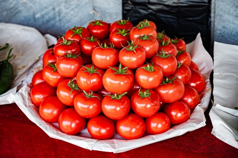 Когда сажать рассаду томатов в 2026 году: точные даты и советы дачникам