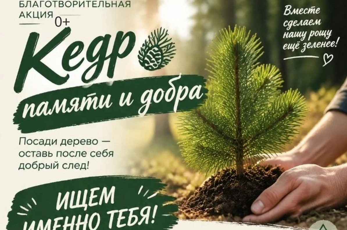 Акция (0+) ИРО ЕР