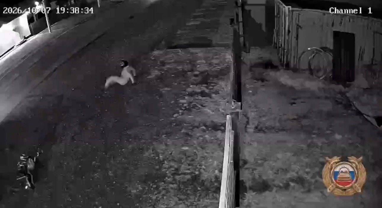 Сбивший 16-летнего мопедиста водитель скрылся с места ДТП в Боханском районе Госавтоинспекция Иркутской области