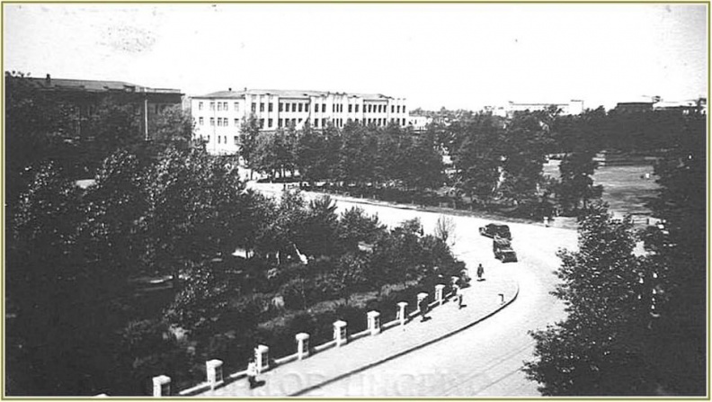 Фото дня