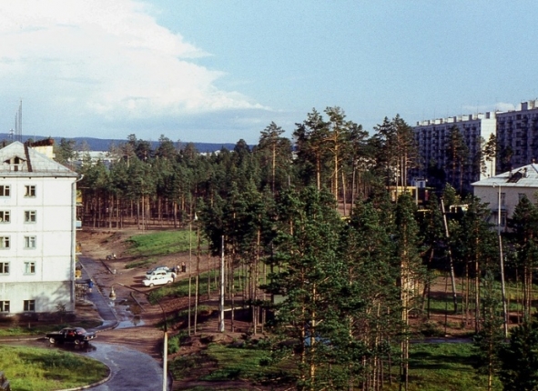 Фото дня