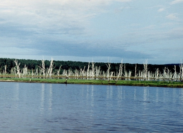 Фото дня