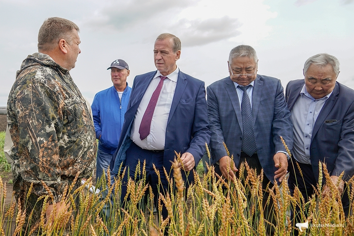 Торги иркутская область